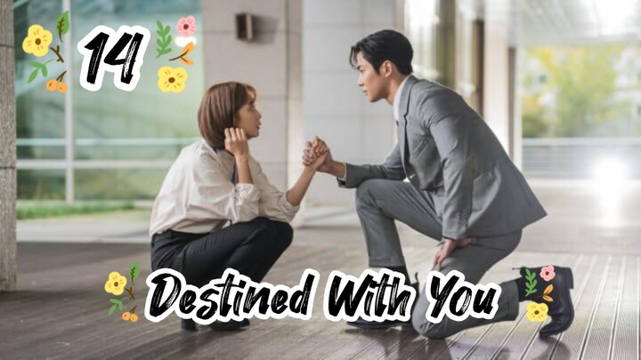 Destined With You(2023) epesode 14 [Eng Sub]