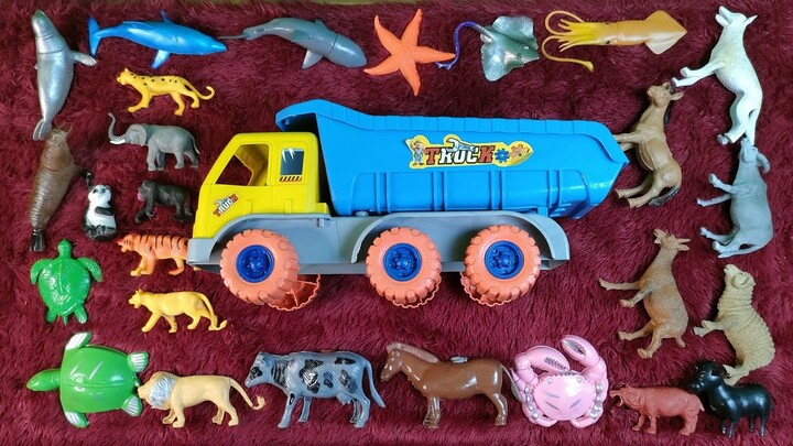 Mencari Mainan Anak Excavator, Mobil Dump Truk, Hewan Laut, Hewan Ternak, Hewan Liar