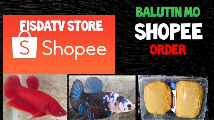 pano balutin ang nga order sa shopee BETTA FISH