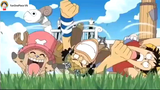 Khi team tấu hài đi lạc trên đảo [AMV] |#anime |#onepiece