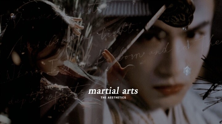 my journey to you ; martial arts fight scenes