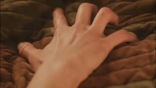 18+ The Cursed Alpha's Mate