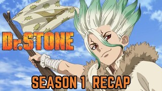 Dr. Stone Season 1 Recap : From Stone Age to Science Empire!