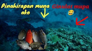 SPEARFISHING PHILIPPINES 🇵🇭 muntik na ako madisgrasya sa isdang ito catch and sell