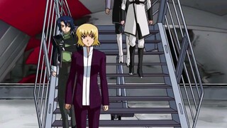 gundam seed destiny 8