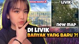 ALICE KETEMU MONSTER DI LIVIK !? - PUBG Mobile Indonesia