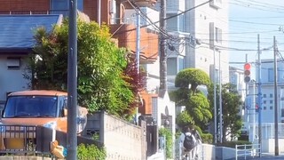 “Hóa ra những cảnh trong anime thực sự tồn tại”