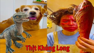 Thú Cưng TV | Gâu Đần và Bà Mẹ #53 | Chó Golden Gâu Đần thông minh vui nhộn | Pets cute smart dog