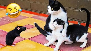 Funniest Animals 2023 🤣 New Funny Cats and Dogs 😺🐶 Part 13