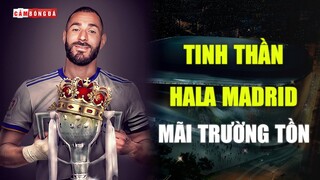 Như những NÉT VẼ của PICASSO VĨ ĐẠI, tinh thần HALA MADRID vẫn TRƯỜNG TỒN VỚI THỜI GIAN!