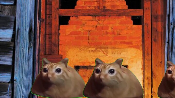 【Cat meme】Team building, but go to the escape room!