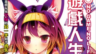 [轻小说资源]11卷＋6特典＋短篇.游戏人生epub