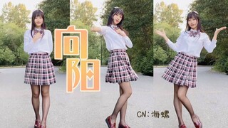 【海螺】周二了♥来看看学姐吧 ☀️向阳☀️