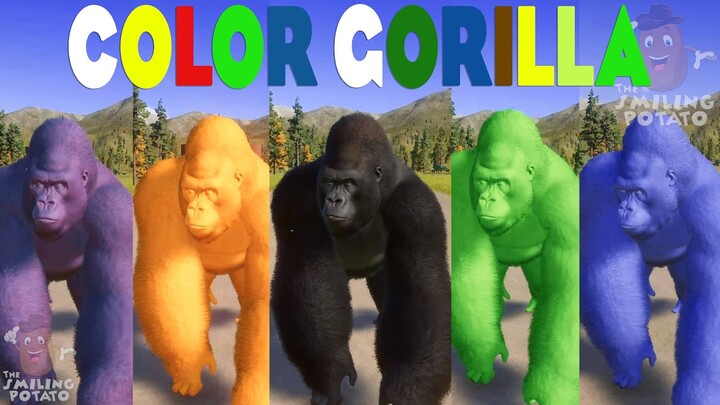Colored Red Gorilla, Blue Gorilla, Gorilla & other Colored Lowland Gorilla Races in Planet Zoo 🦍