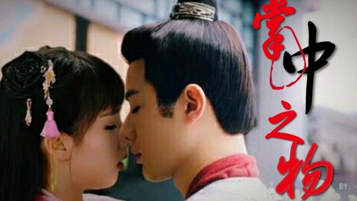 【掌中之物X大宋少年志】宽景版‖假如王宽是傅慎行(王佑硕×苏晓彤)