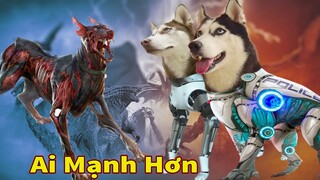 Thú Cưng TV | Ngáo Ngu Ngốc Và Đầu Gấu #6 | chó thông minh vui nhộn | Pets funny cute smart dog