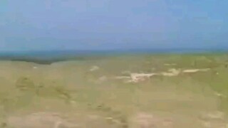 sesuai dengan lagu nya 🤣🤣🤣