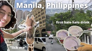 Arriving in Manila, Philippines | Vlog 1/2 🇵🇭