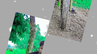 শরির 🥰 sds sorif vai#sddsorif 🥰🥰🥰🥰