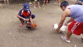 Palo Hanggang humihinga