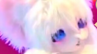 ❤️The sweet furry dance Candy Pop❤️