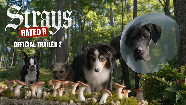 Strays2 _ Official Trailer 2: watch full movie link in description