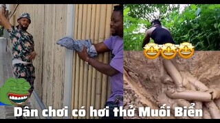 Những đứa con thất lạc của thần biển #27 / Dân Chơi Có Hơi Thở Muối Biển 😂