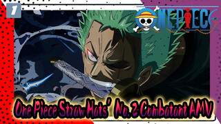 One Piece Straw Hats’ No. 2 Combatant AMV.1