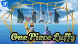 Mereka adalah Pasangannya Luffy | One Piece_3