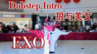 【EXO】2024生命之树再现！超绝Intro导入！论情人节和狼与美女的适配程度