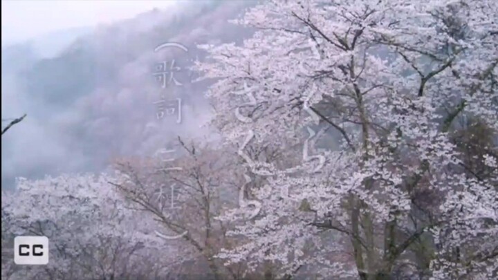 [MINUS ONE] Sakura Sakura (Traditional Japanese Melody and lyrics)