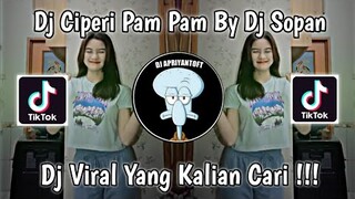 DJ CIPERI PAM PAM BY DJ SOPAN VIRAL TIK TOK TERBARU 2022 !