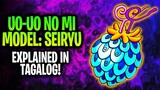 UO-UO NO MI MODEL: SEIRYU Explained In Tagalog!