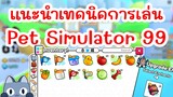 แนะนำการเล่น Pet Simulator 99 ! | Roblox Pet Simulator 99