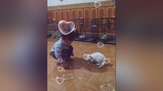 Đến giờ cơm rồi...cunyeucuadua yeucho yeuchomeo cún cúncon chó chómèo chócon chókhôn yeuchomeo chócute pet dog dogsoftiktok doggo