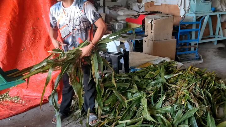 Silage Chopper