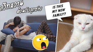 หลอกแฟนว่าโจรขึ้นบ้าน!! แต่ที่จริง Surprising My Boyfriend With The Kitten!Pondday and Nonny