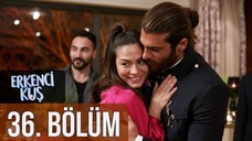 Erkenci Kuş VOSTFR - Episode 36