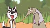 The anteater's tongue is quite long.