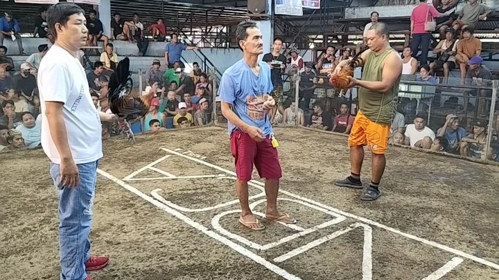 Team Hybreed. mayahin vs gold. winner tayo