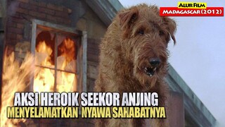 Aksi Heroik Anjing Pemadam Kebakaran Menyelamatkan Sahabat | Alur Cerita Film FIREHOUSE DOG (2007)