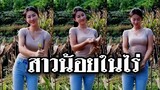 สาวน้อยในไร่ข้าวโพด