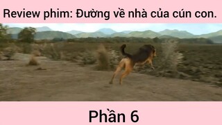 Review phim: Đường về nhà của cún con phần 6