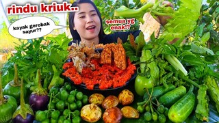 PESTA LALAPAN MENTAH⁉️ MUKBANG LALAPAN MENTAH TANPA NASI IKAN ASIN SAMBAL TERASI