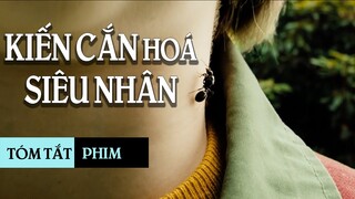 Hoá siêu nhân sau khi bị kiến cắn | Tóm tắt phim | Hiệp sĩ kiến - Antboy