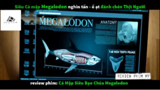 (Phần 2) Review Phim Cá Mập Siêu Bạo Chúa Megalodon #ReviewphimMy