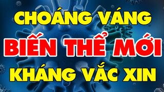 🔥 Tin Cực Nóng Covid-19 Tối 25/9 | Thông tin khẩn từ Bộ Y tế | Tin Tức 247