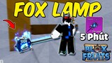 Cách Lấy Và Showcase FOX LAMP Nhanh Nhất (Chi Tiết) Trong Blox Fruits !