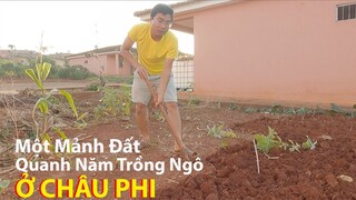 2Q Làm Gì khi không tới nhà Antonio?||2Q Vlogs Cuộc Sống Châu Phi