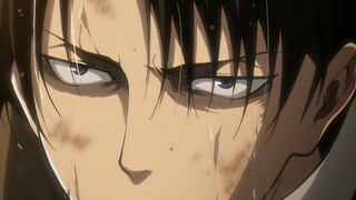 Levi's Quotes (dirty words, shit and fart literature)